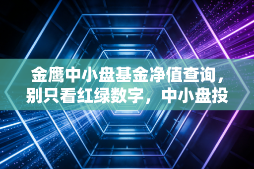 金鹰中小盘基金净值查询，别只看红绿数字，中小盘投资的心跳与未来