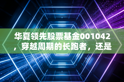 华夏领先股票基金001042,穿越周期的长跑者,还是普通投资者的试金石?