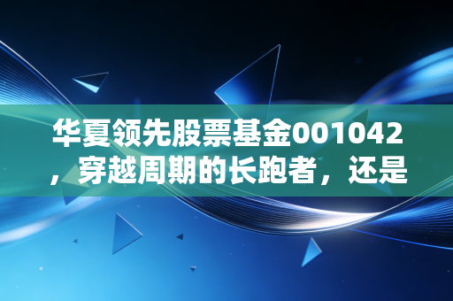 华夏领先股票基金001042，穿越周期的长跑者，还是普通投资者的试金石？