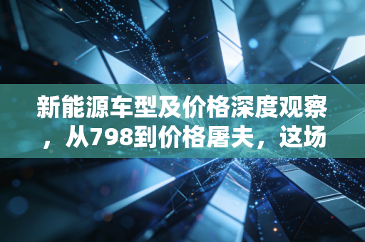 新能源车型及价格深度观察,从798到价格屠夫,这场狂欢背后的经济账与生存战