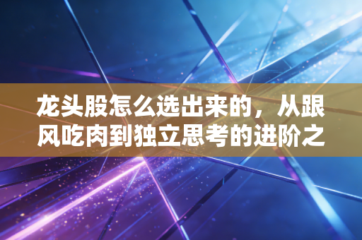 龙头股怎么选出来的,从跟风吃肉到独立思考的进阶之路