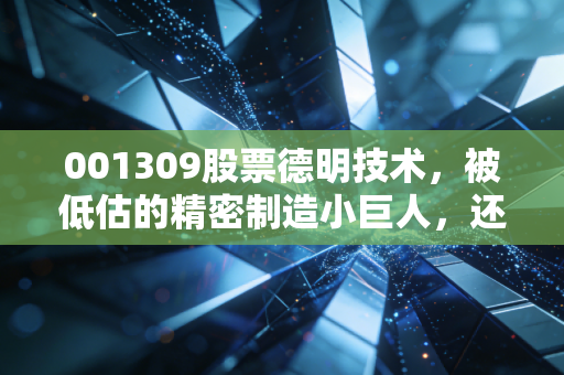 001309股票德明技术，被低估的精密制造小巨人，还是风口上的赌局？