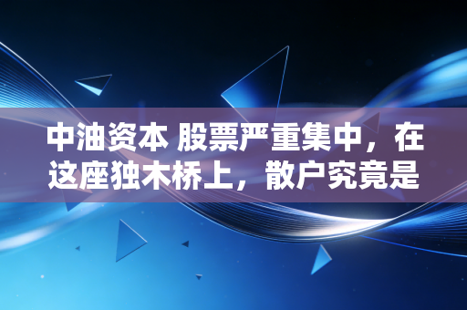 中油资本 股票严重集中,在这座独木桥上,散户究竟是舞者还是看客?