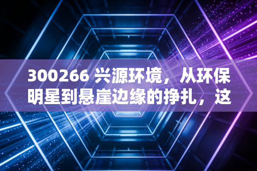 300266 兴源环境，从环保明星到悬崖边缘的挣扎，这出变废为宝的大戏还能演多久？