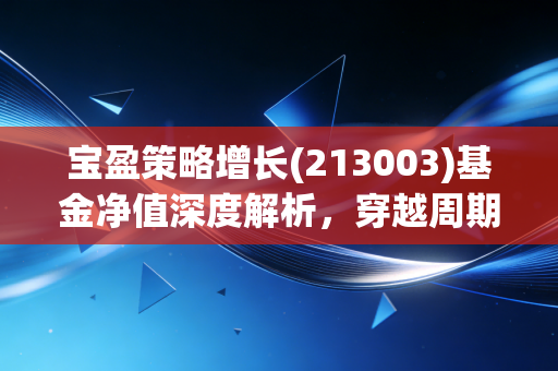 宝盈策略增长(213003)基金净值深度解析,穿越周期的长跑者还是昙花一现的流星?