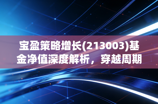 宝盈策略增长(213003)基金净值深度解析,穿越周期的长跑者还是昙花一现的流星?