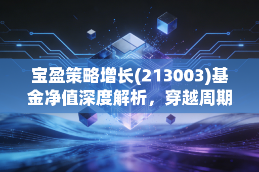 宝盈策略增长(213003)基金净值深度解析，穿越周期的长跑者还是昙花一现的流星？
