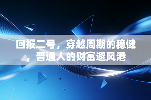 回报二号,穿越周期的稳健,普通人的财富避风港