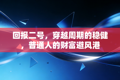 回报二号,穿越周期的稳健,普通人的财富避风港