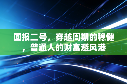 回报二号,穿越周期的稳健,普通人的财富避风港