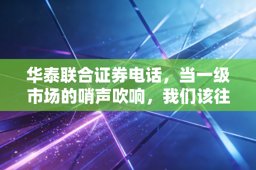 华泰联合证券电话,当一级市场的哨声吹响,我们该往哪里看?