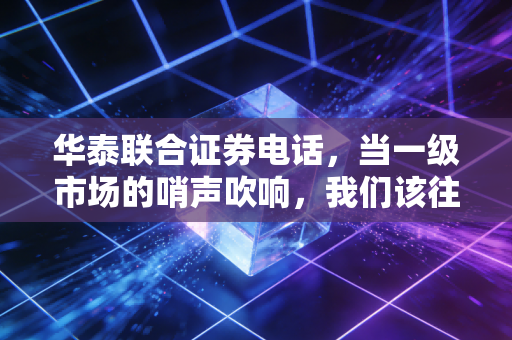 华泰联合证券电话,当一级市场的哨声吹响,我们该往哪里看?
