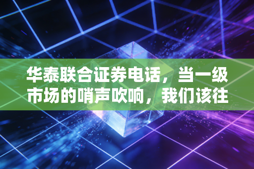 华泰联合证券电话，当一级市场的哨声吹响，我们该往哪里看？