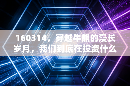 160314，穿越牛熊的漫长岁月，我们到底在投资什么？
