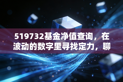 519732基金净值查询，在波动的数字里寻找定力，聊聊核心资产的冷与热