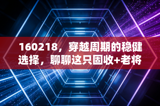 160218，穿越周期的稳健选择，聊聊这只固收+老将带给我们的理财启示
