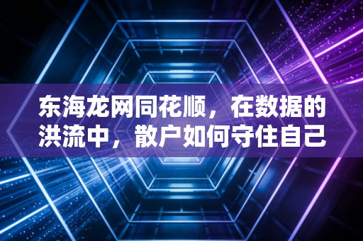 东海龙网同花顺，在数据的洪流中，散户如何守住自己的钱袋子？