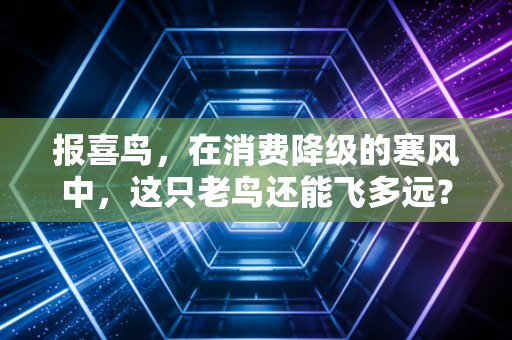 报喜鸟,在消费降级的寒风中,这只老鸟还能飞多远?