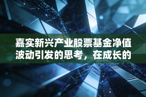 嘉实新兴产业股票基金净值波动引发的思考,在成长的阵痛中,我们如何坚守长期主义?