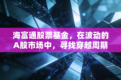 海富通股票基金，在波动的A股市场中，寻找穿越周期的长跑冠军
