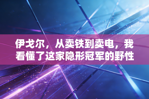 伊戈尔,从卖铁到卖电,我看懂了这家隐形冠军的野性与克制
