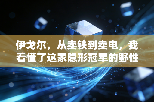 伊戈尔,从卖铁到卖电,我看懂了这家隐形冠军的野性与克制