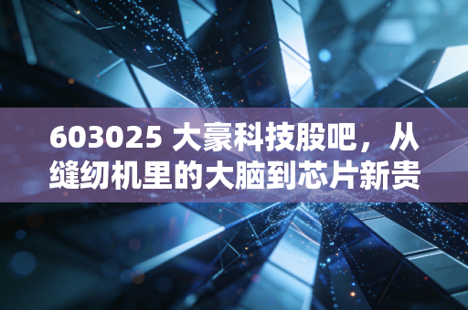 603025 大豪科技股吧,从缝纫机里的大脑到芯片新贵,这只隐形冠军到底值不值得拿?