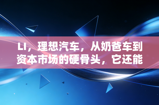 LI,理想汽车,从奶爸车到资本市场的硬骨头,它还能继续狂奔吗?