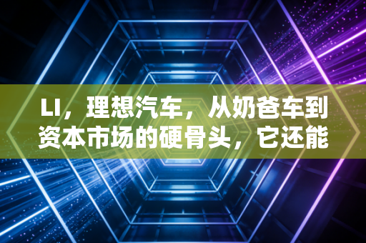 LI，理想汽车，从奶爸车到资本市场的硬骨头，它还能继续狂奔吗？