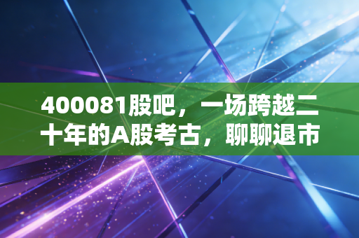 400081股吧，一场跨越二十年的A股考古，聊聊退市股里的爱恨情仇