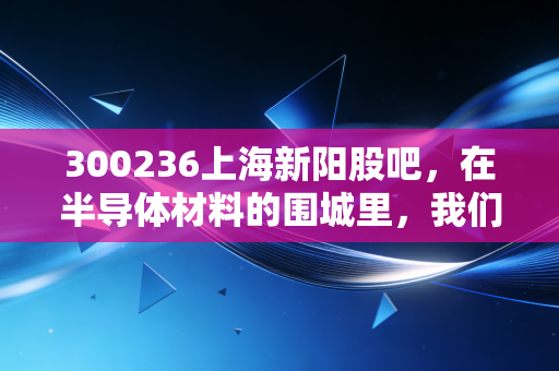 300236上海新阳股吧，在半导体材料的围城里，我们是在赌博还是在投资？