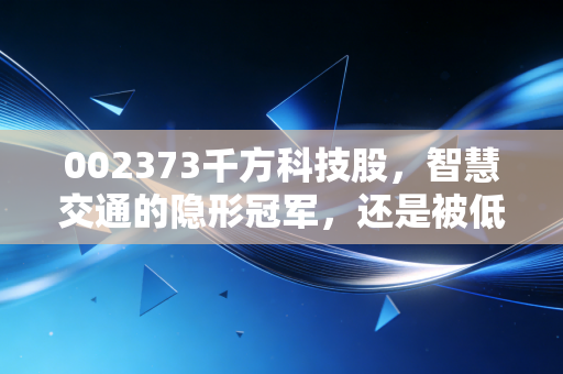 002373千方科技股,智慧交通的隐形冠军,还是被低估的AI潜力股?