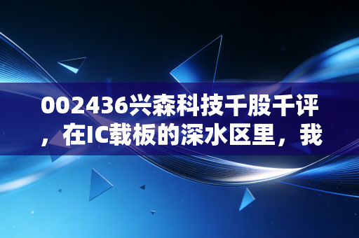 002436兴森科技千股千评，在IC载板的深水区里，我们究竟在博弈什么？