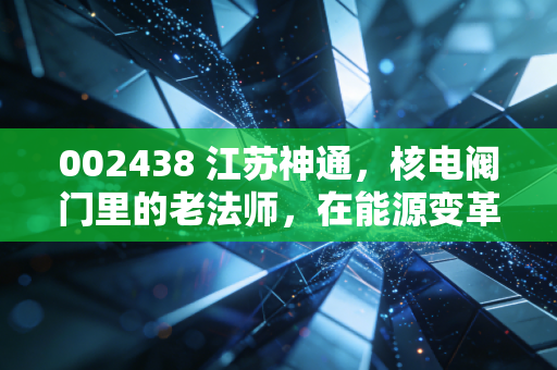 002438 江苏神通，核电阀门里的老法师，在能源变革中还能稳坐钓鱼台吗？