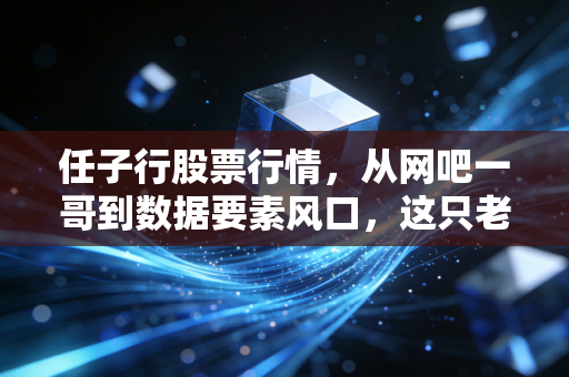 任子行股票行情，从网吧一哥到数据要素风口，这只老牌网安股还能翻身吗？