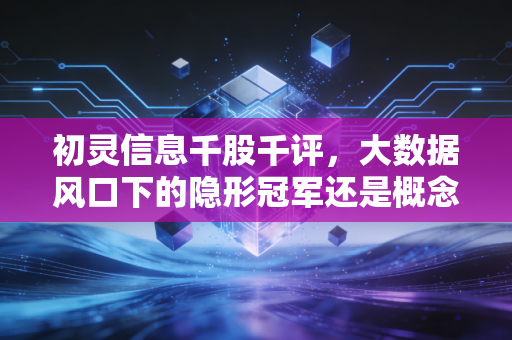 初灵信息千股千评,大数据风口下的隐形冠军还是概念炒作的过山车?