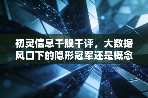 初灵信息千股千评，大数据风口下的隐形冠军还是概念炒作的过山车？