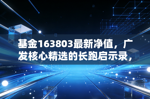 基金163803最新净值，广发核心精选的长跑启示录，在波动中寻找投资的定力