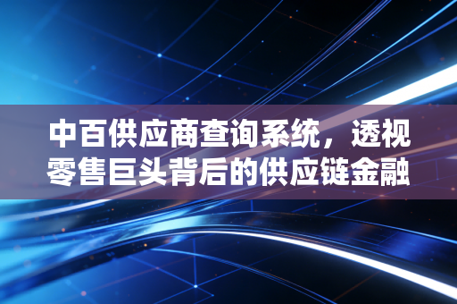 中百供应商查询系统,透视零售巨头背后的供应链金融与数字化生存