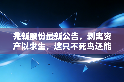 兆新股份最新公告，剥离资产以求生，这只不死鸟还能飞多远？