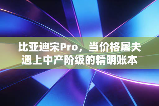 比亚迪宋Pro,当价格屠夫遇上中产阶级的精明账本
