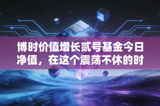 博时价值增长贰号基金今日净值,在这个震荡不休的时代,我们该如何读懂老将的坚守?
