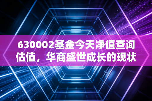 630002基金今天净值查询估值,华商盛世成长的现状剖析与投资思考