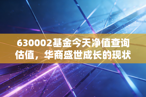 630002基金今天净值查询估值，华商盛世成长的现状剖析与投资思考