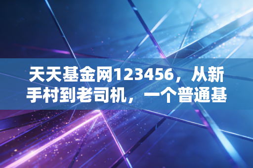 天天基金网123456，从新手村到老司机，一个普通基民的投资手记与反思