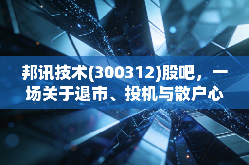 邦讯技术(300312)股吧，一场关于退市、投机与散户心碎的深度复盘