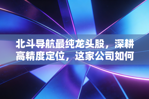 北斗导航最纯龙头股，深耕高精度定位，这家公司如何让我们的世界分毫不差？