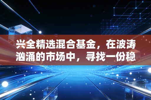兴全精选混合基金,在波涛汹涌的市场中,寻找一份稳稳的幸福