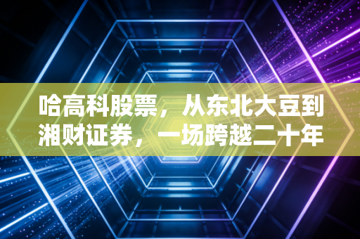 哈高科股票,从东北大豆到湘财证券,一场跨越二十年的资本涅槃