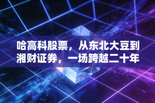 哈高科股票,从东北大豆到湘财证券,一场跨越二十年的资本涅槃